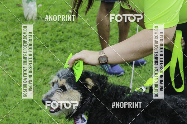 Buy your photos of the event2 PET RUNNER 2019 on Fotop