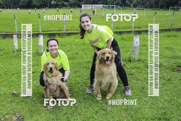 Buy your photos of the event2 PET RUNNER 2019 on Fotop