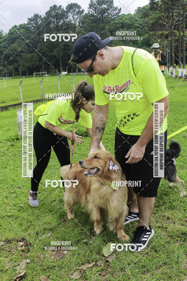 Buy your photos of the event2 PET RUNNER 2019 on Fotop
