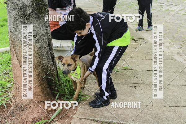 Buy your photos of the event2 PET RUNNER 2019 on Fotop