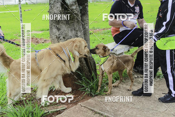 Buy your photos of the event2 PET RUNNER 2019 on Fotop