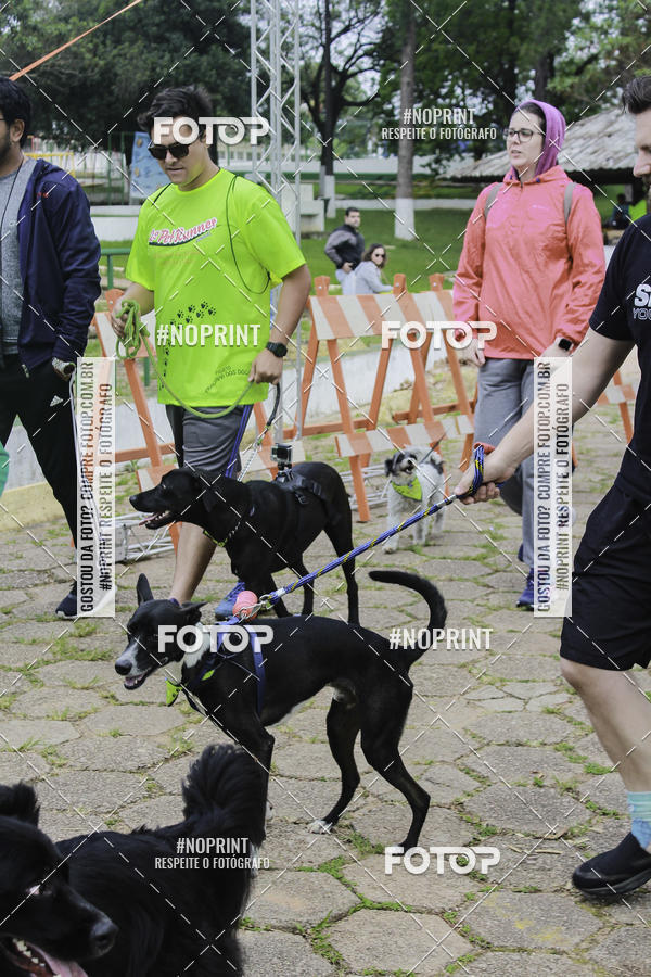 Buy your photos of the event2 PET RUNNER 2019 on Fotop