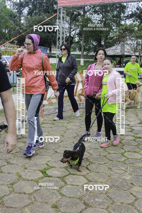 Buy your photos of the event2 PET RUNNER 2019 on Fotop