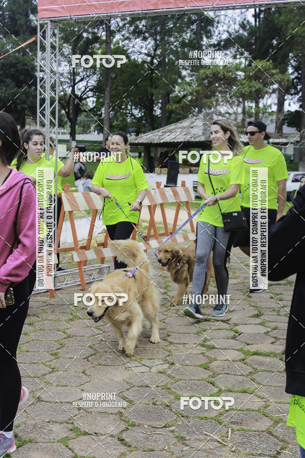 Buy your photos of the event2 PET RUNNER 2019 on Fotop
