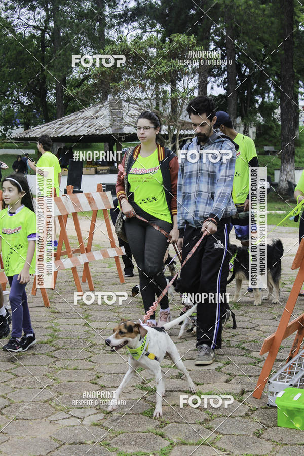 Buy your photos of the event2 PET RUNNER 2019 on Fotop