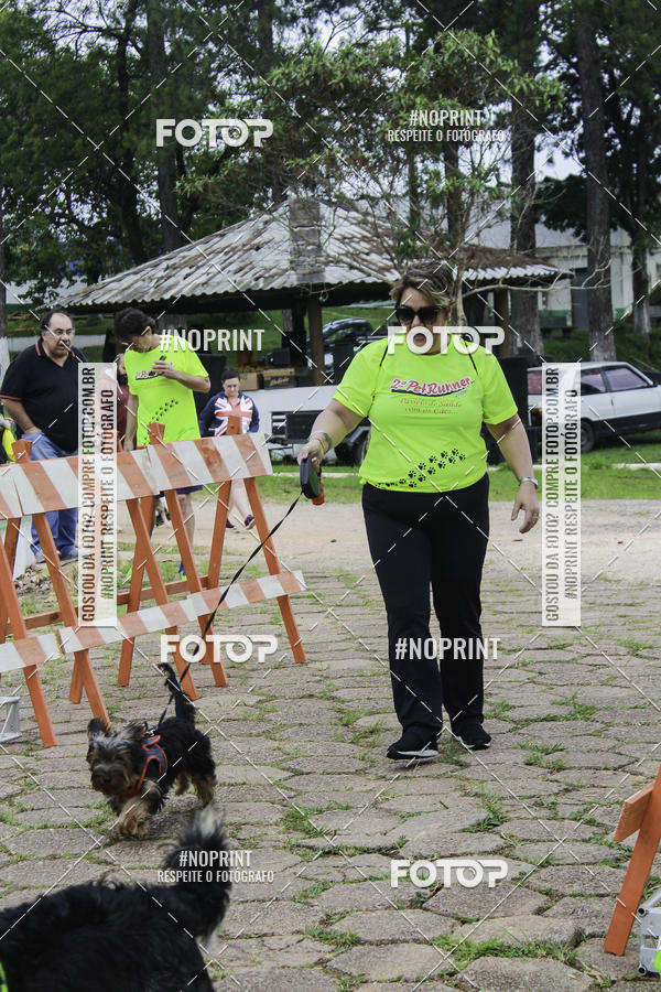 Buy your photos of the event2 PET RUNNER 2019 on Fotop