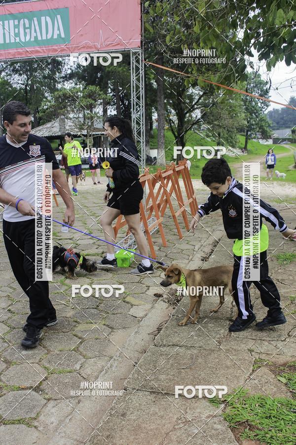 Buy your photos of the event2 PET RUNNER 2019 on Fotop