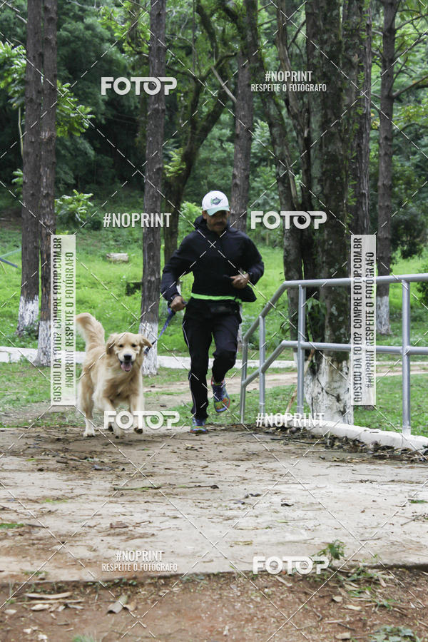 Buy your photos of the event2 PET RUNNER 2019 on Fotop