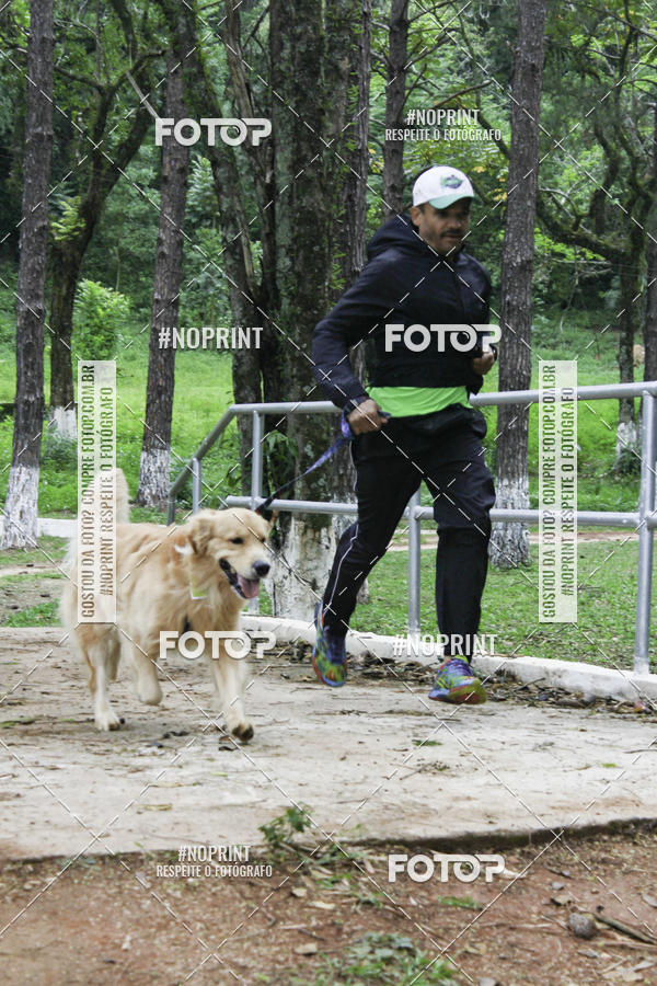 Buy your photos of the event2 PET RUNNER 2019 on Fotop