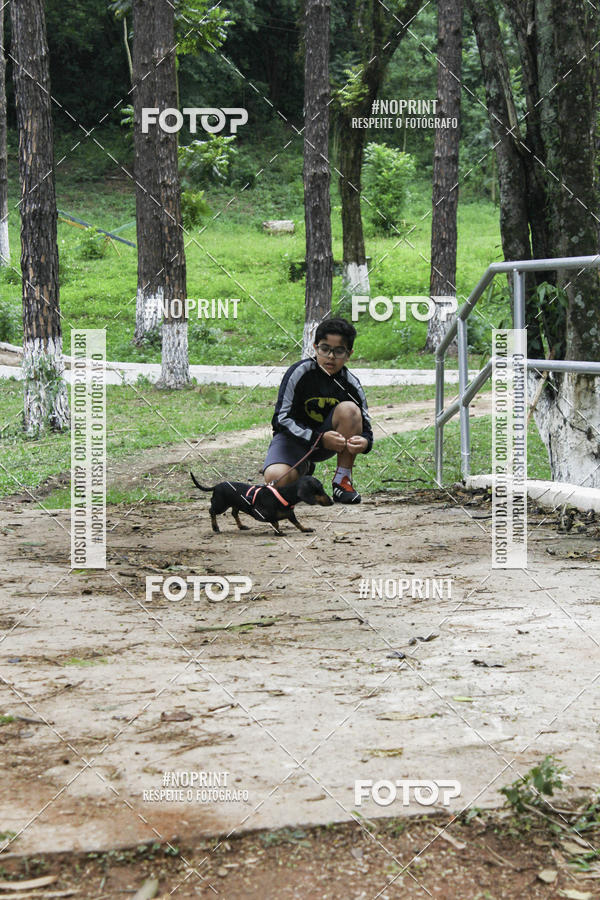 Buy your photos of the event2 PET RUNNER 2019 on Fotop