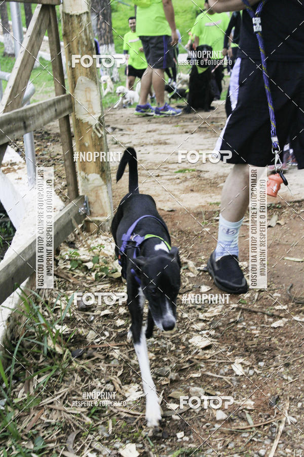 Buy your photos of the event2 PET RUNNER 2019 on Fotop