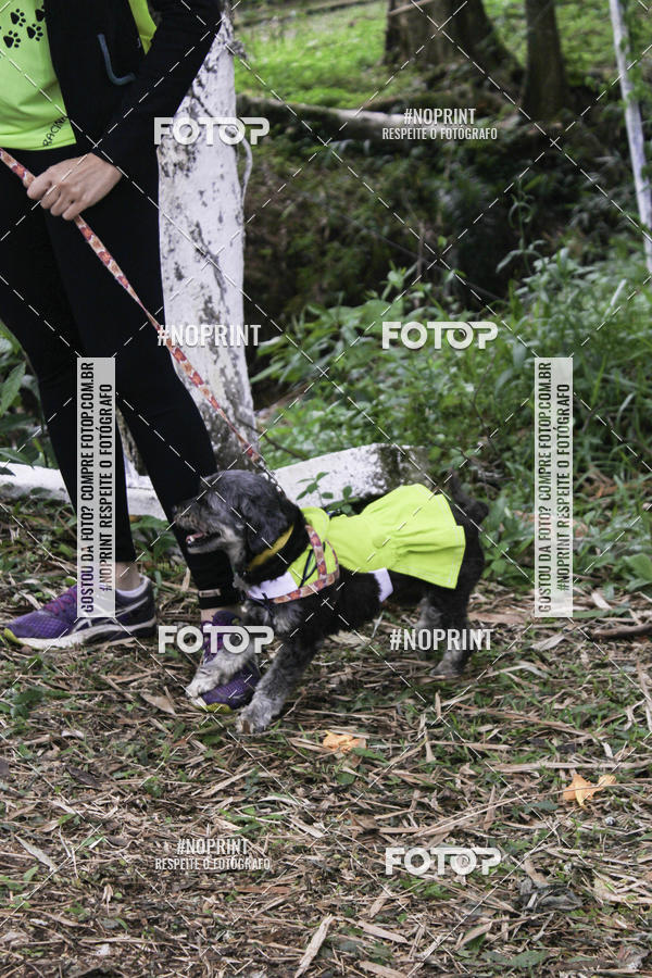 Buy your photos of the event2 PET RUNNER 2019 on Fotop