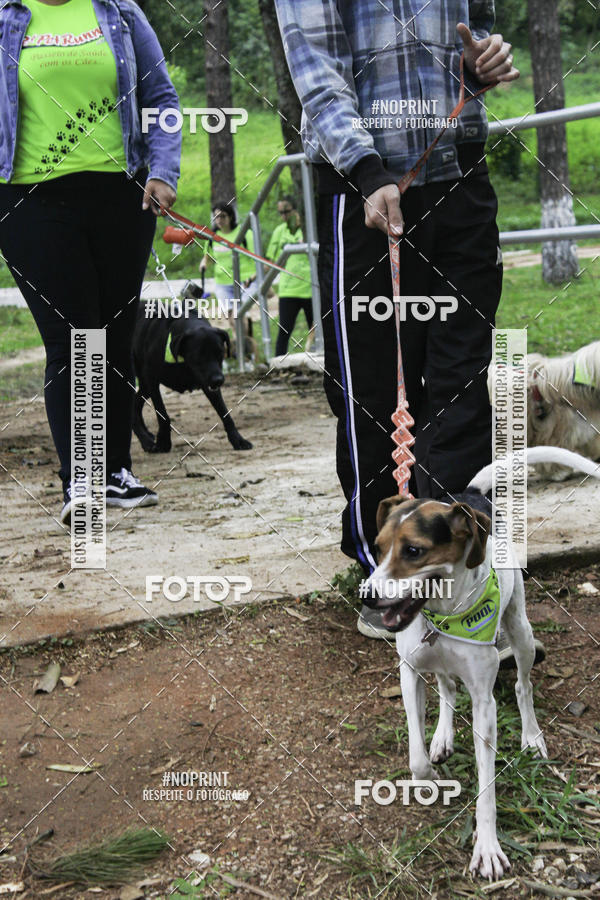 Buy your photos of the event2 PET RUNNER 2019 on Fotop