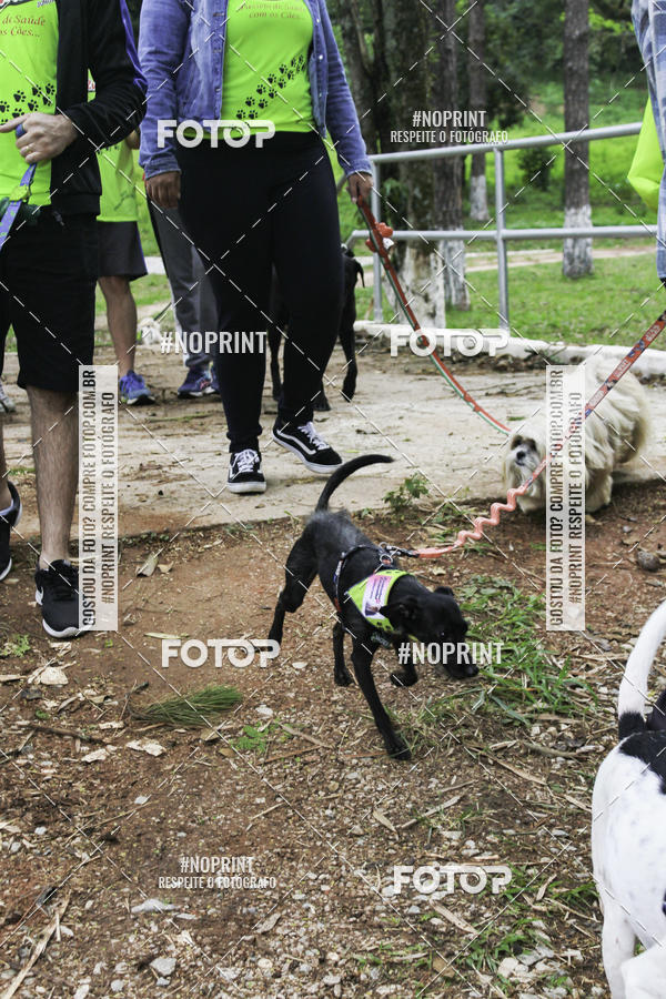 Buy your photos of the event2 PET RUNNER 2019 on Fotop