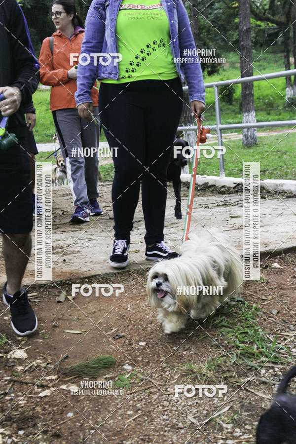 Buy your photos of the event2 PET RUNNER 2019 on Fotop