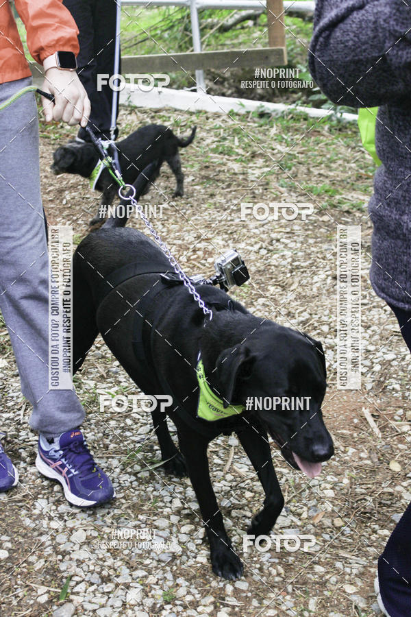 Buy your photos of the event2 PET RUNNER 2019 on Fotop