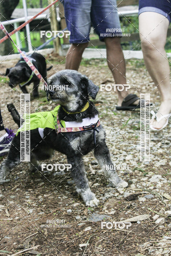 Buy your photos of the event2 PET RUNNER 2019 on Fotop