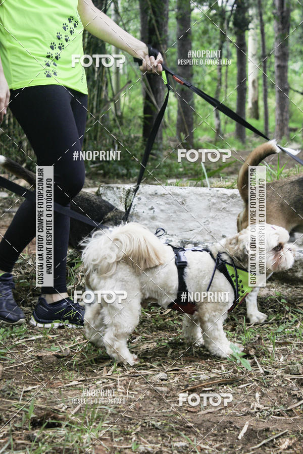 Buy your photos of the event2 PET RUNNER 2019 on Fotop