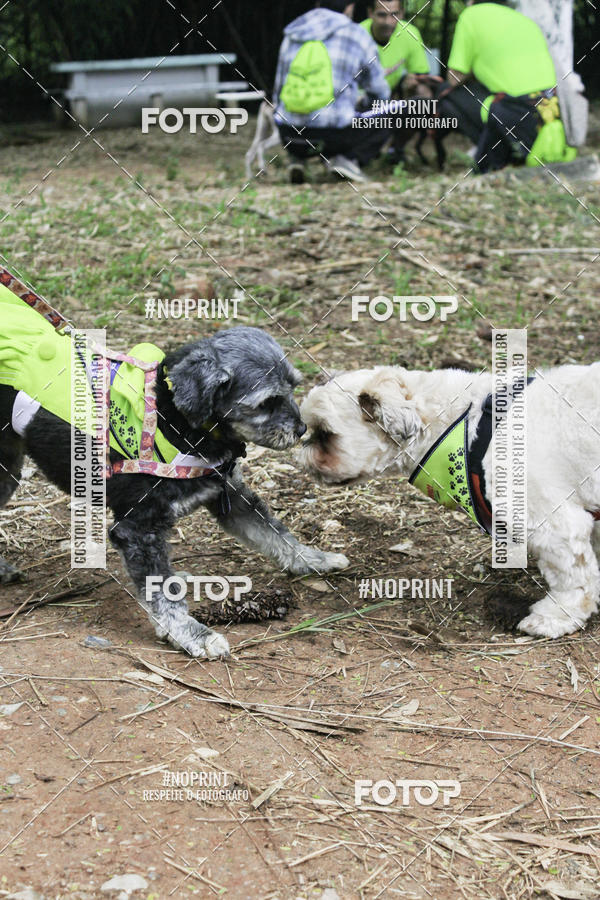 Buy your photos of the event2 PET RUNNER 2019 on Fotop