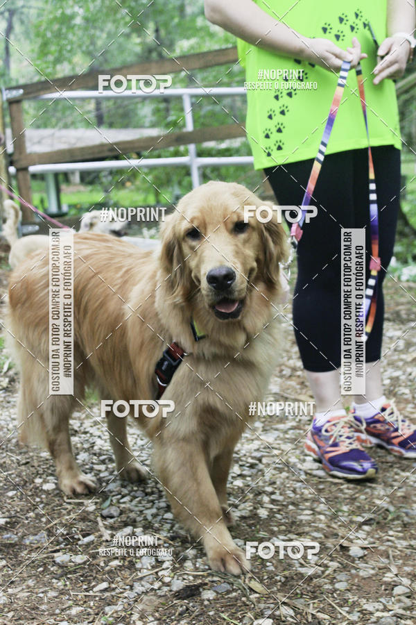 Buy your photos of the event2 PET RUNNER 2019 on Fotop