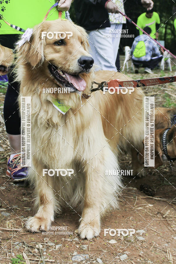 Buy your photos of the event2 PET RUNNER 2019 on Fotop