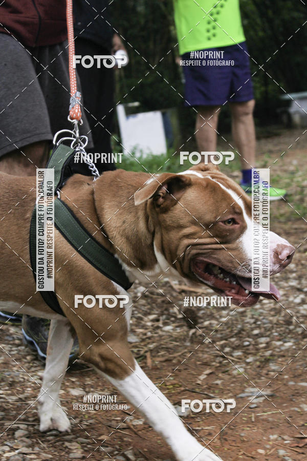 Buy your photos of the event2 PET RUNNER 2019 on Fotop
