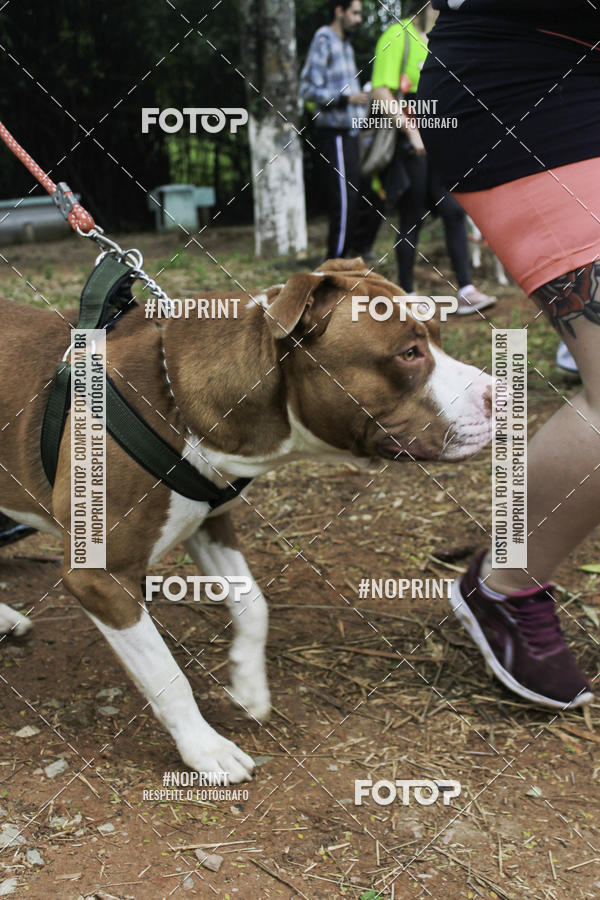 Buy your photos of the event2 PET RUNNER 2019 on Fotop