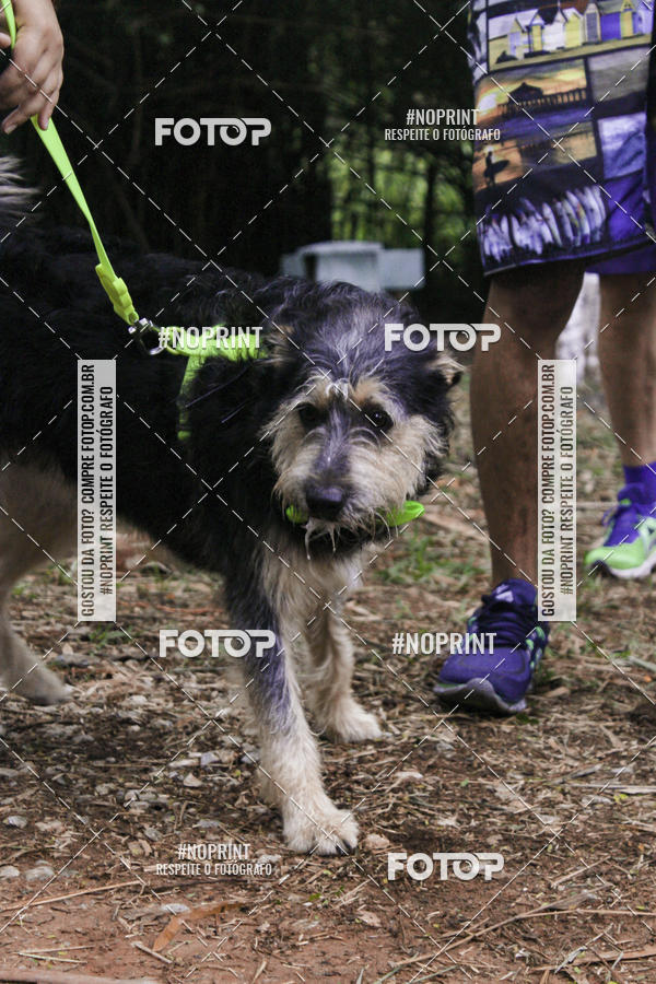 Buy your photos of the event2 PET RUNNER 2019 on Fotop