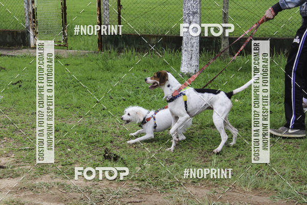 Buy your photos of the event2 PET RUNNER 2019 on Fotop