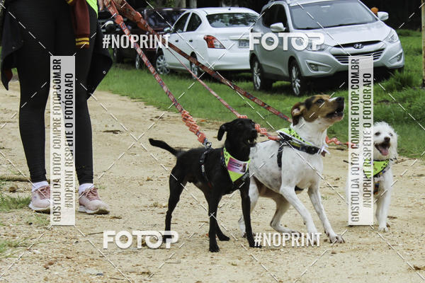 Buy your photos of the event2 PET RUNNER 2019 on Fotop
