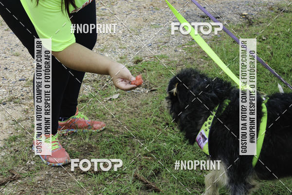 Buy your photos of the event2 PET RUNNER 2019 on Fotop
