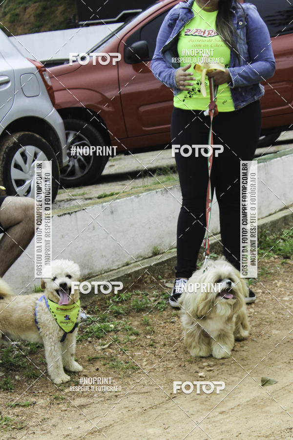 Buy your photos of the event2 PET RUNNER 2019 on Fotop