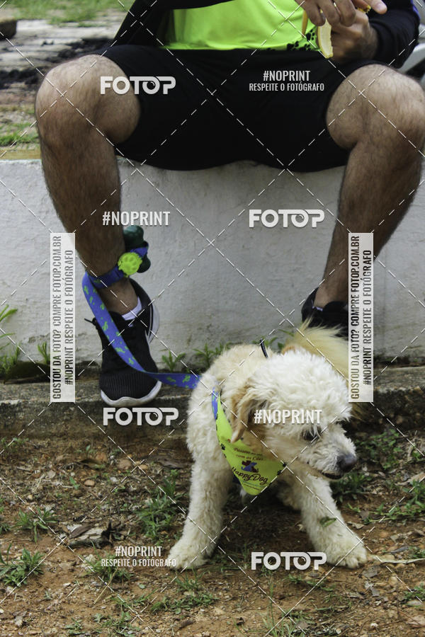 Buy your photos of the event2 PET RUNNER 2019 on Fotop