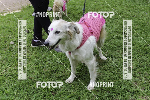 Buy your photos of the event2 PET RUNNER 2019 on Fotop