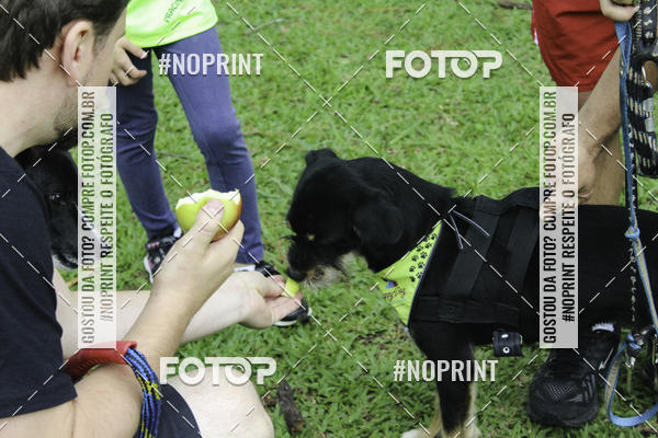 Buy your photos of the event2 PET RUNNER 2019 on Fotop