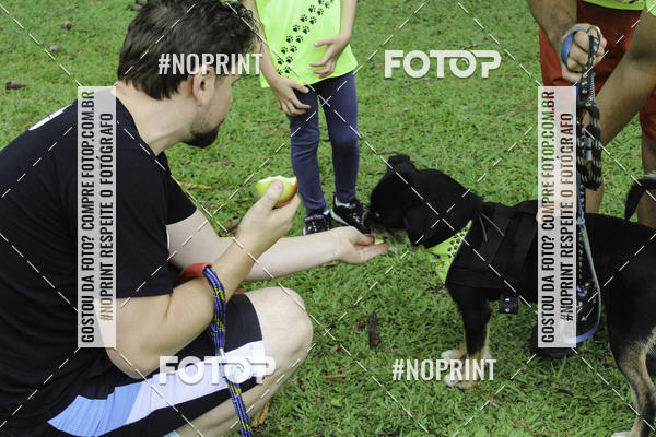 Buy your photos of the event2 PET RUNNER 2019 on Fotop