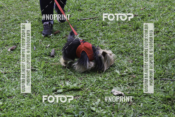 Buy your photos of the event2 PET RUNNER 2019 on Fotop