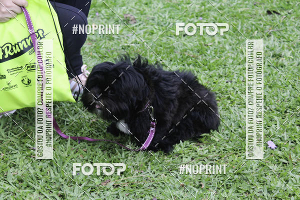 Buy your photos of the event2 PET RUNNER 2019 on Fotop