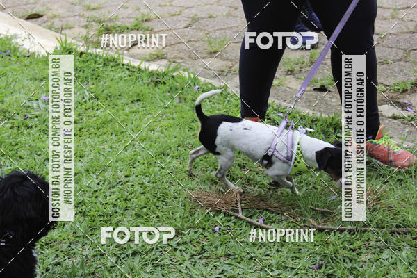 Buy your photos of the event2 PET RUNNER 2019 on Fotop