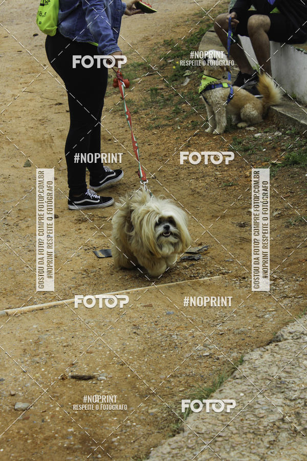 Buy your photos of the event2 PET RUNNER 2019 on Fotop