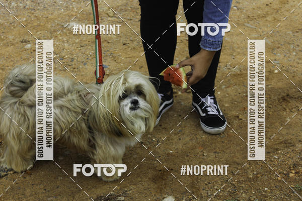 Buy your photos of the event2 PET RUNNER 2019 on Fotop