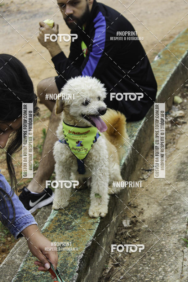 Buy your photos of the event2 PET RUNNER 2019 on Fotop