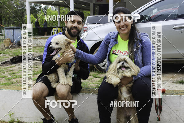 Buy your photos of the event2 PET RUNNER 2019 on Fotop