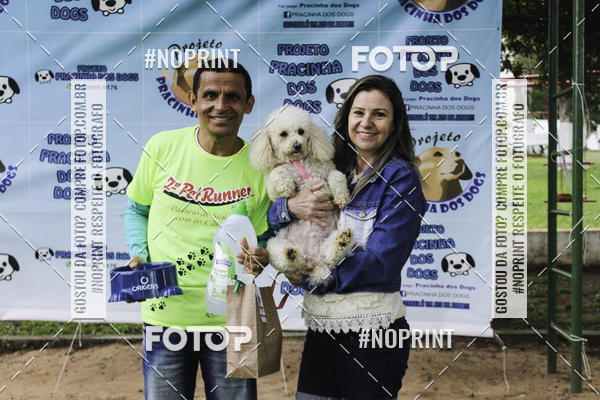 Buy your photos of the event2 PET RUNNER 2019 on Fotop