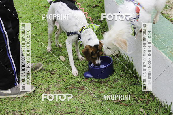 Buy your photos of the event2 PET RUNNER 2019 on Fotop