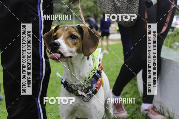 Buy your photos of the event2 PET RUNNER 2019 on Fotop
