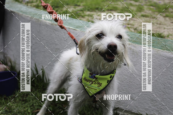 Buy your photos of the event2 PET RUNNER 2019 on Fotop