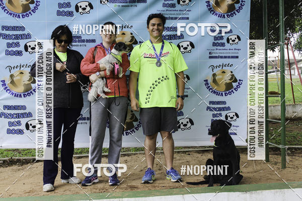 Buy your photos of the event2 PET RUNNER 2019 on Fotop