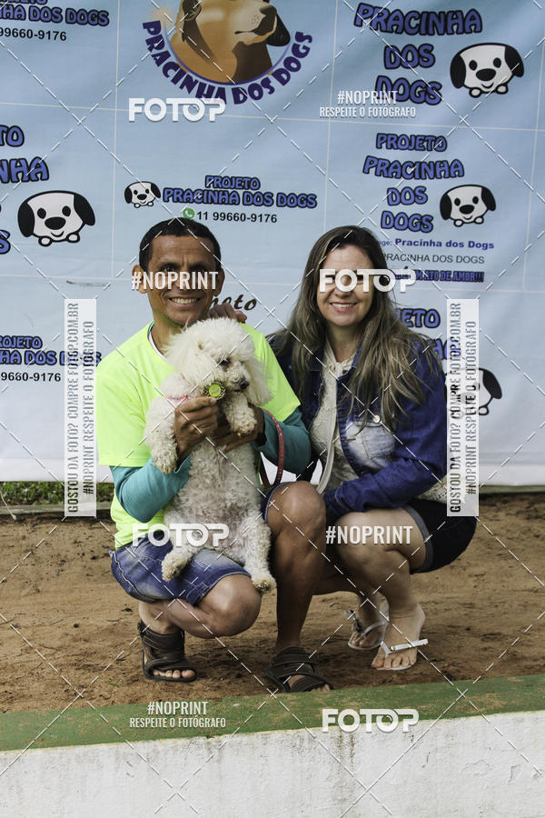 Buy your photos of the event2 PET RUNNER 2019 on Fotop