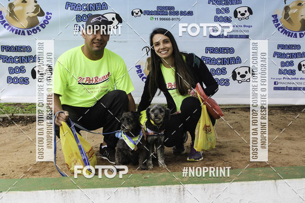 Buy your photos of the event2 PET RUNNER 2019 on Fotop